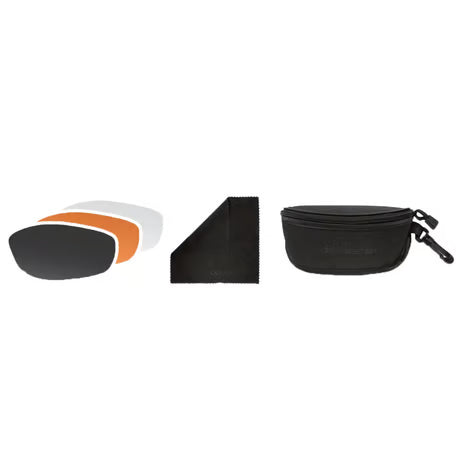 Bobster Bugeye II goggles matte black